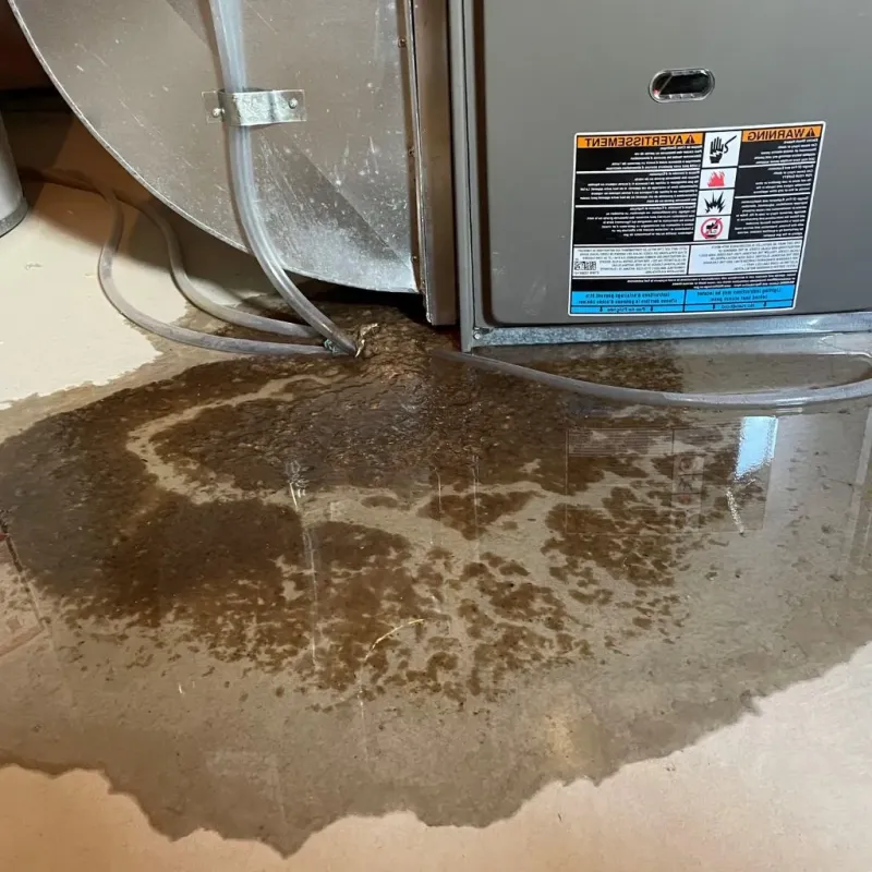 Pipe Burst and Leak Restoration in Belle Vernon, PA